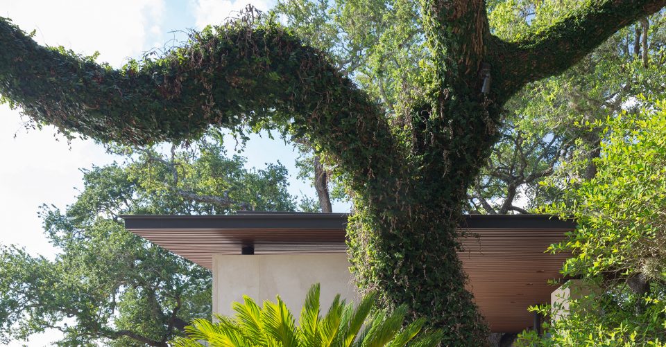 La Grange Landscape by Murray Legge Architecture 5 1