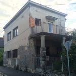 3SHOEBOX 住宅，斯洛文尼亚 / OFIS Architects