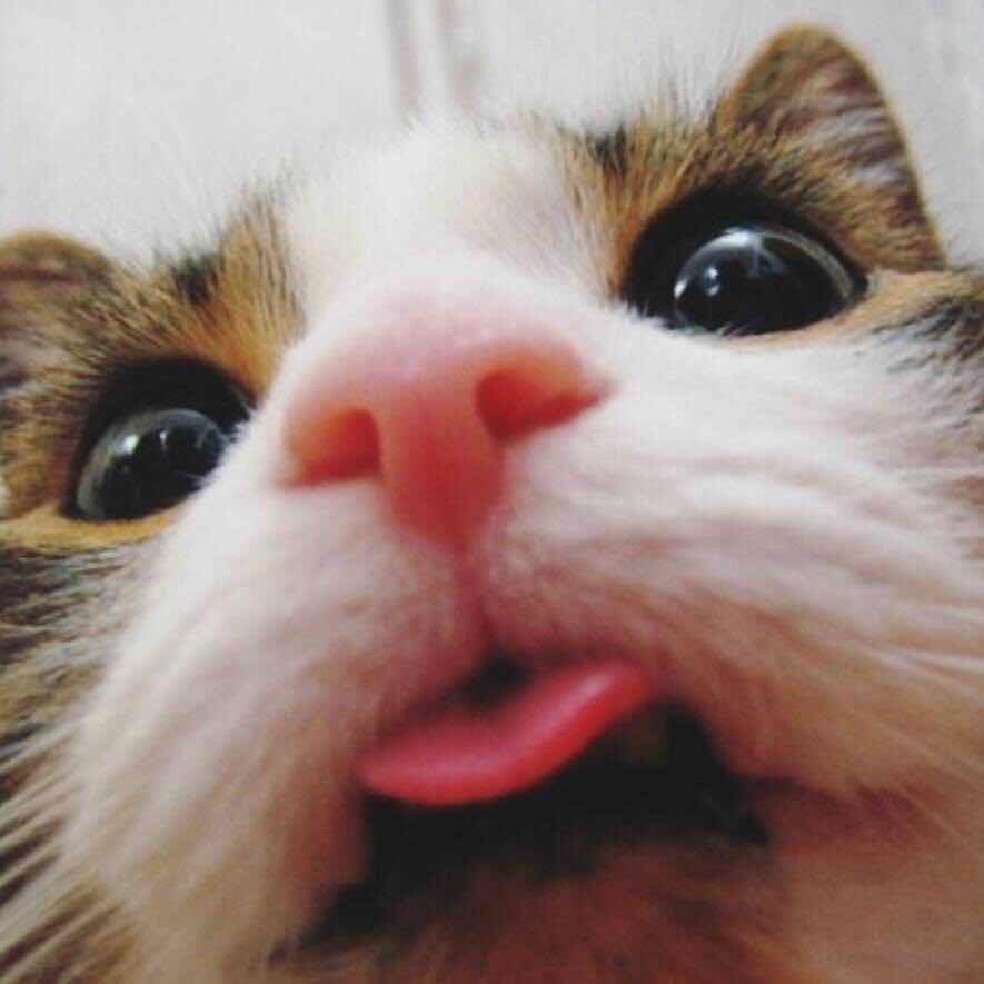 2 3