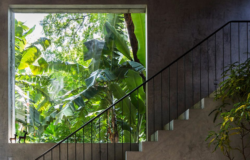 Thong住宅，西贡 / NISHIZAWA ARCHITECTS