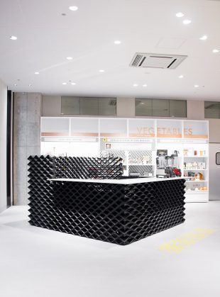 3D printed interiors By DUS