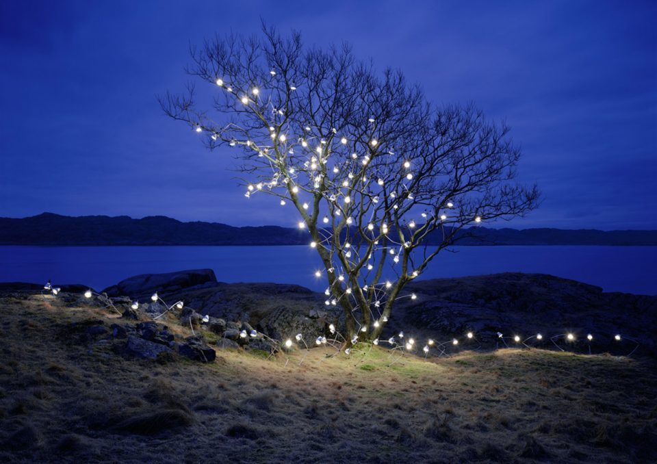 Installation and Photography works by Rune Guneriussen