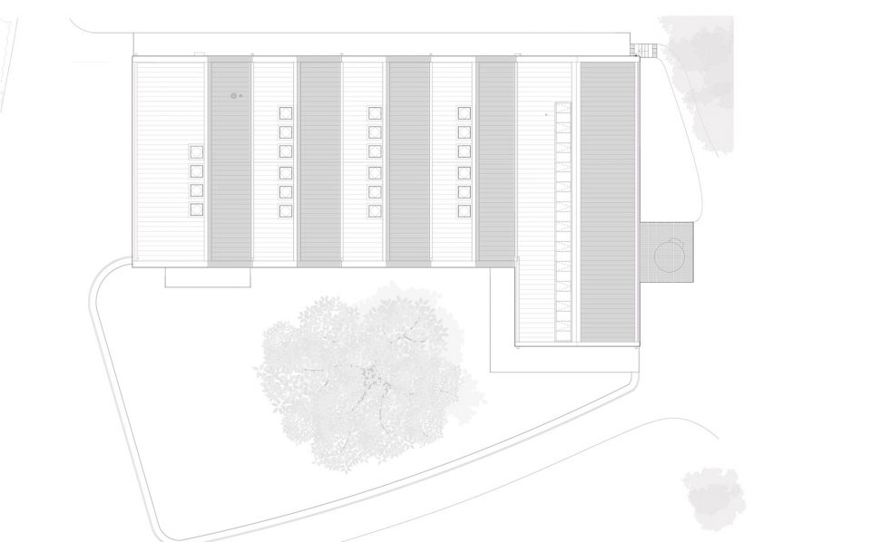 Bedales School by Feilden Clegg Bradley Studios