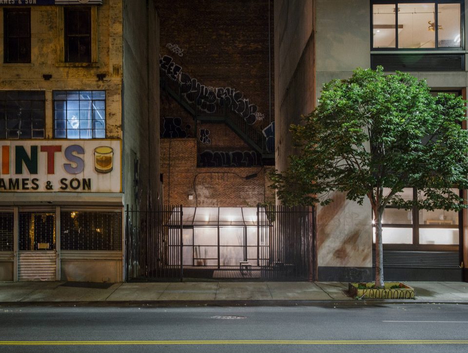 New York Greenhouse By Part Office Cactus Store