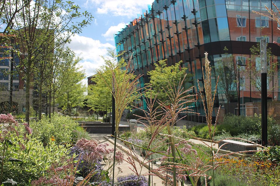 Sovereign Square By re form landscape architecture