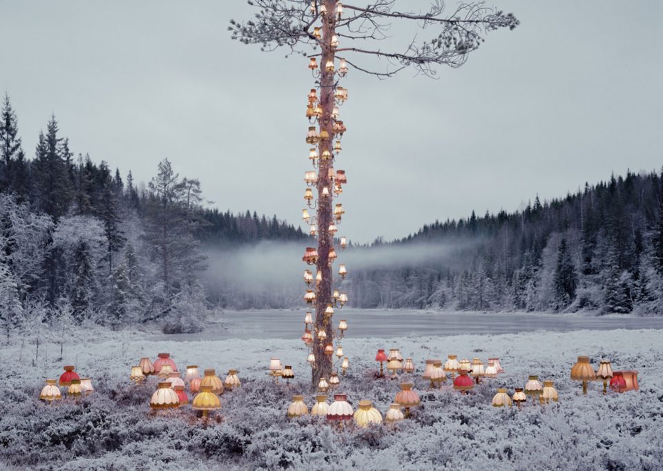 Installation and Photography works by Rune Guneriussen