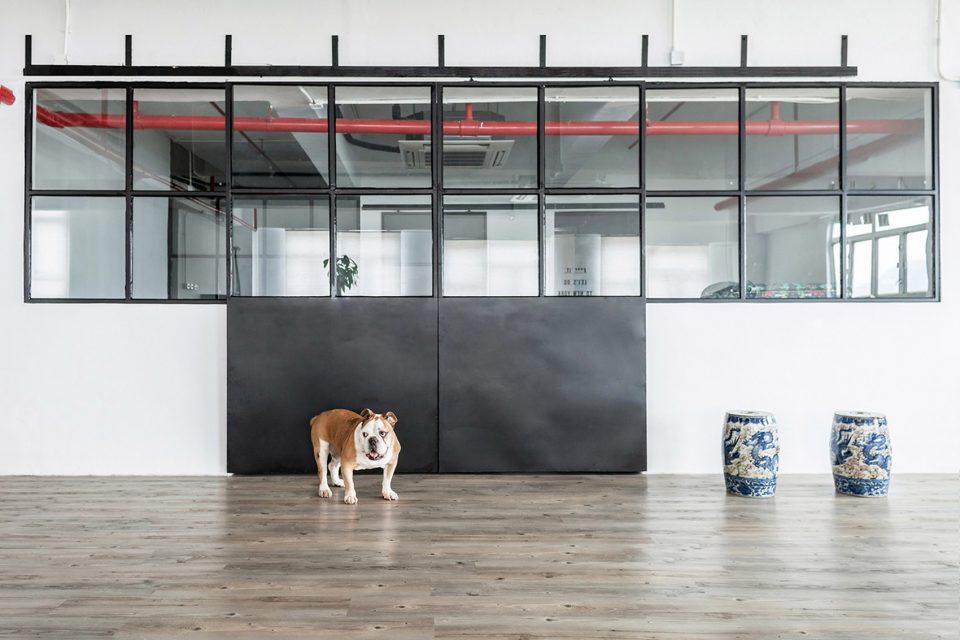 Warehouse HM By Lim Lu