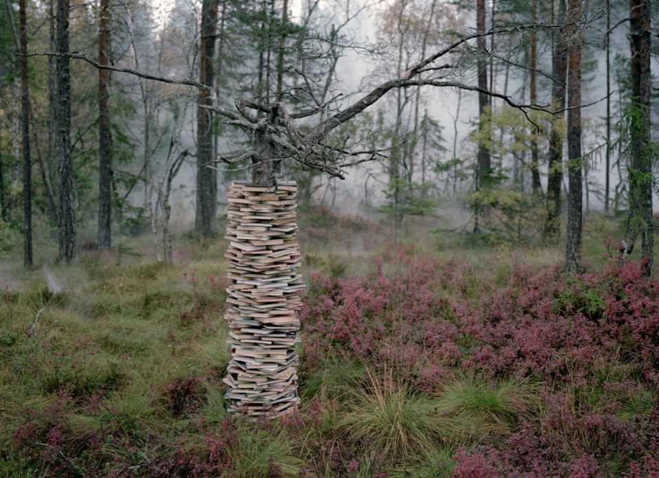 Installation and Photography works by Rune Guneriussen