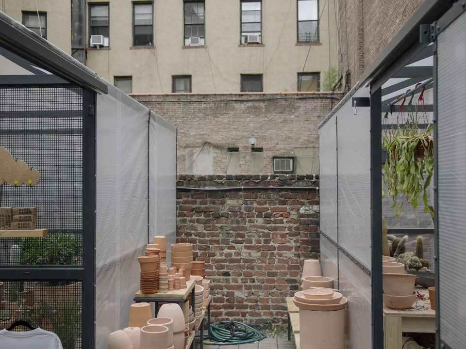 New York Greenhouse By Part Office Cactus Store