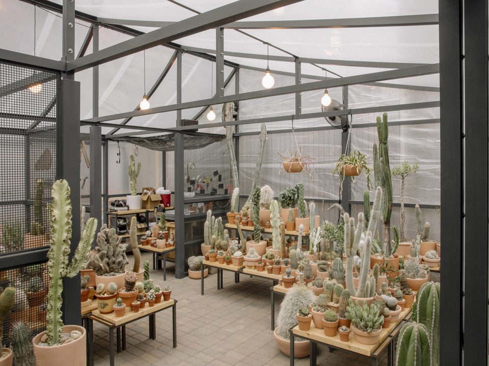 New York Greenhouse By Part Office Cactus Store
