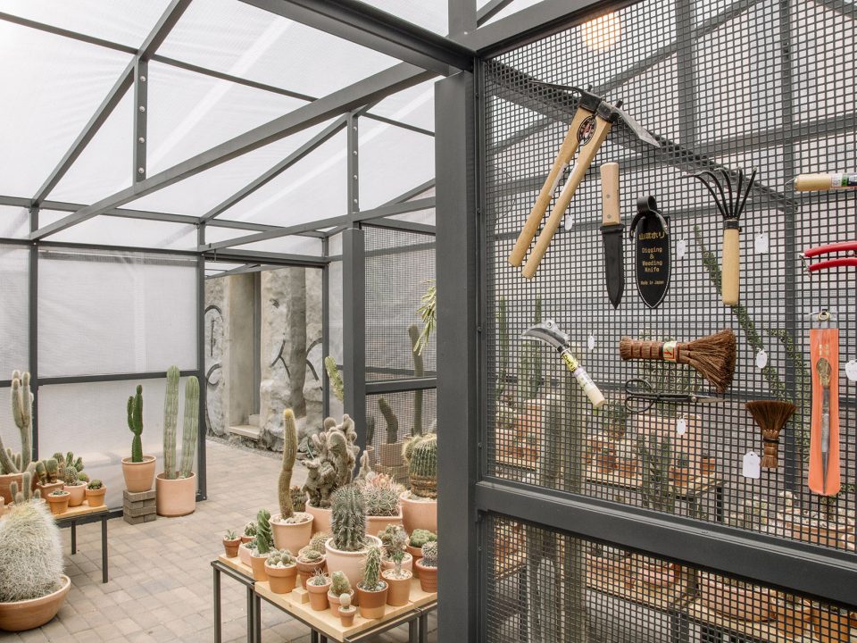 New York Greenhouse By Part Office Cactus Store