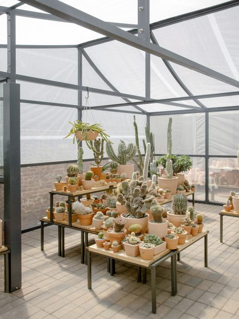 New York Greenhouse By Part Office Cactus Store