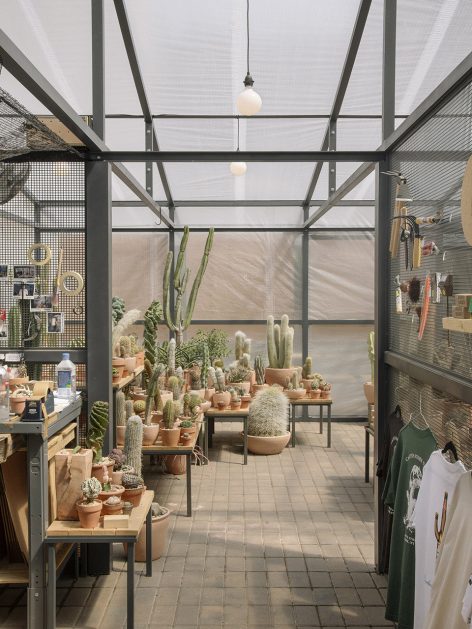 New York Greenhouse By Part Office Cactus Store