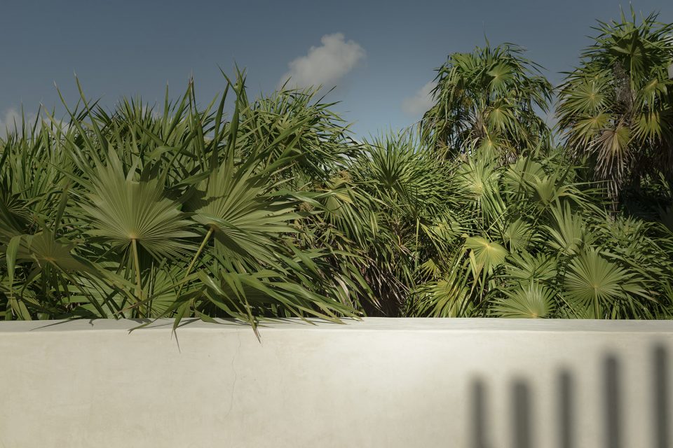 Tulum Treehouse By CO LAB design office