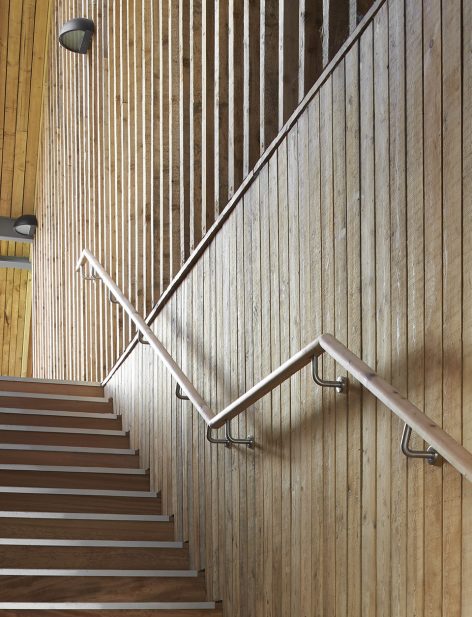 Bedales School by Feilden Clegg Bradley Studios