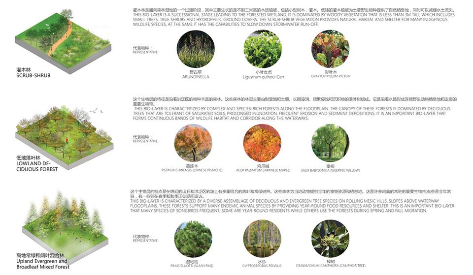 TLS WINS SANLIN BUND ECOLOGICAL PARK SHANGHAI By TLS