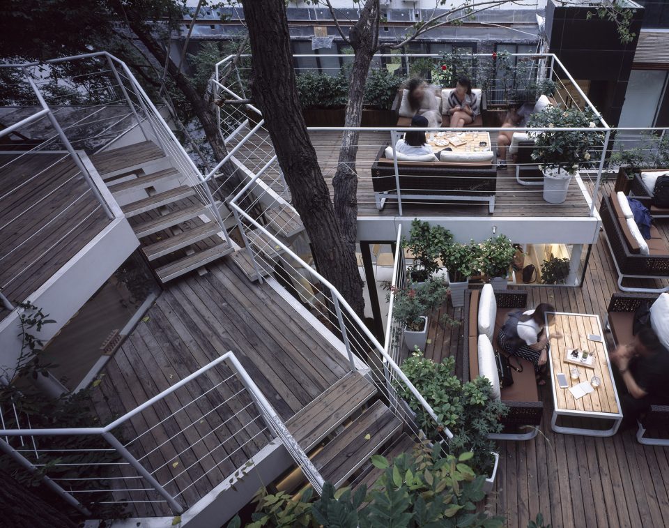 屋顶延续着树之间的路径 TiensTiens cafe TAO