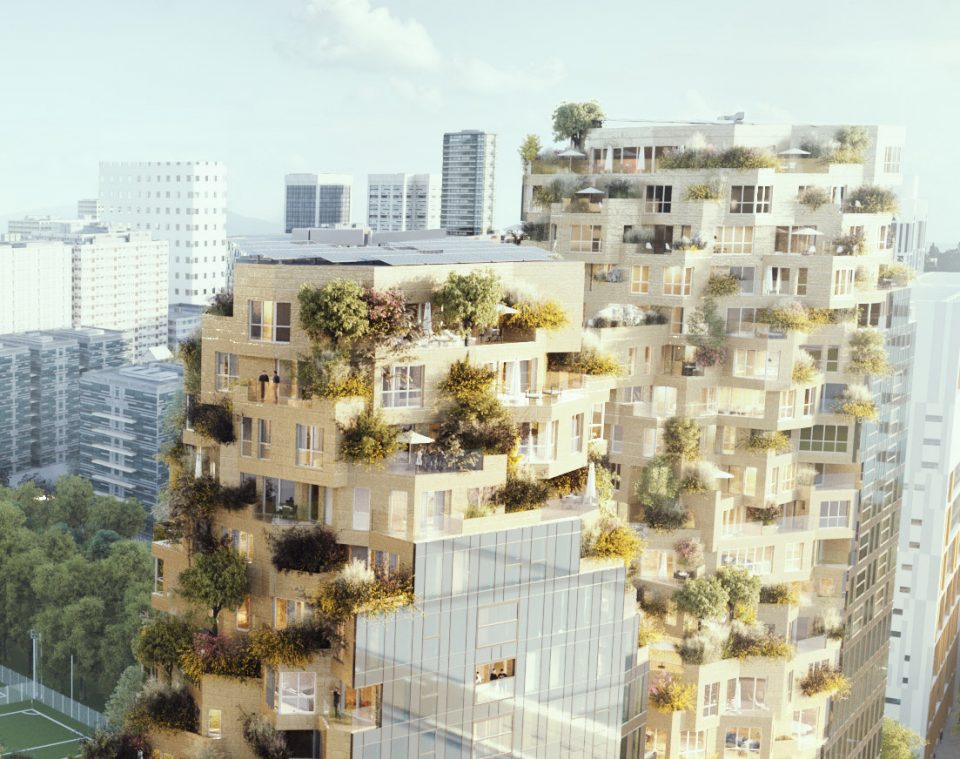terrace4 valley MVRDV