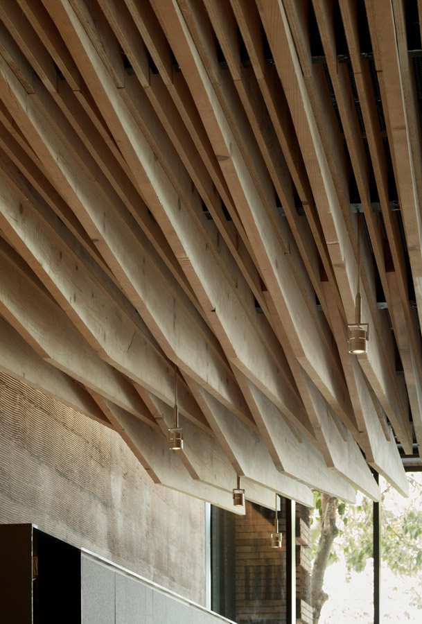 InSitu ceiling MM Aidlin Darling Design