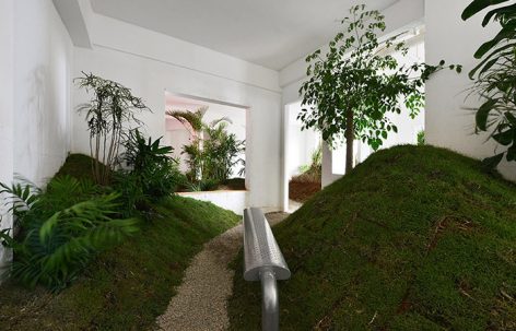 退化公园，厦门 / 退化建筑