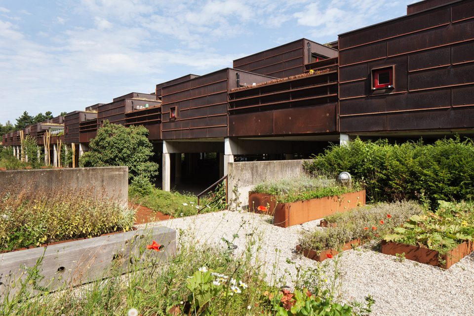 Farum Midtpunkt landscape design By Rambøll Architecture and Urban Development