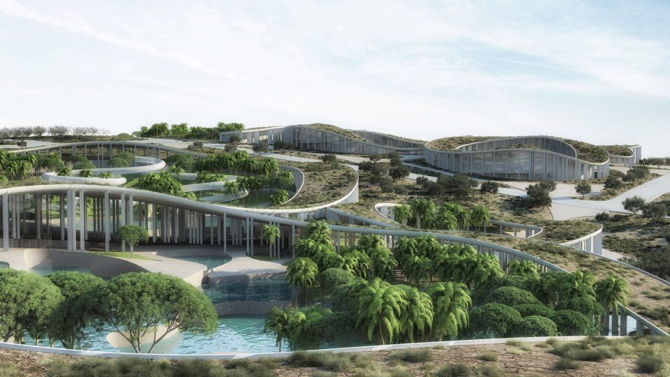 Tetras Oasis By ENOTA