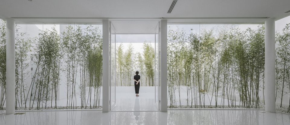 Bamboo Forest on the Roof By V STUDIO