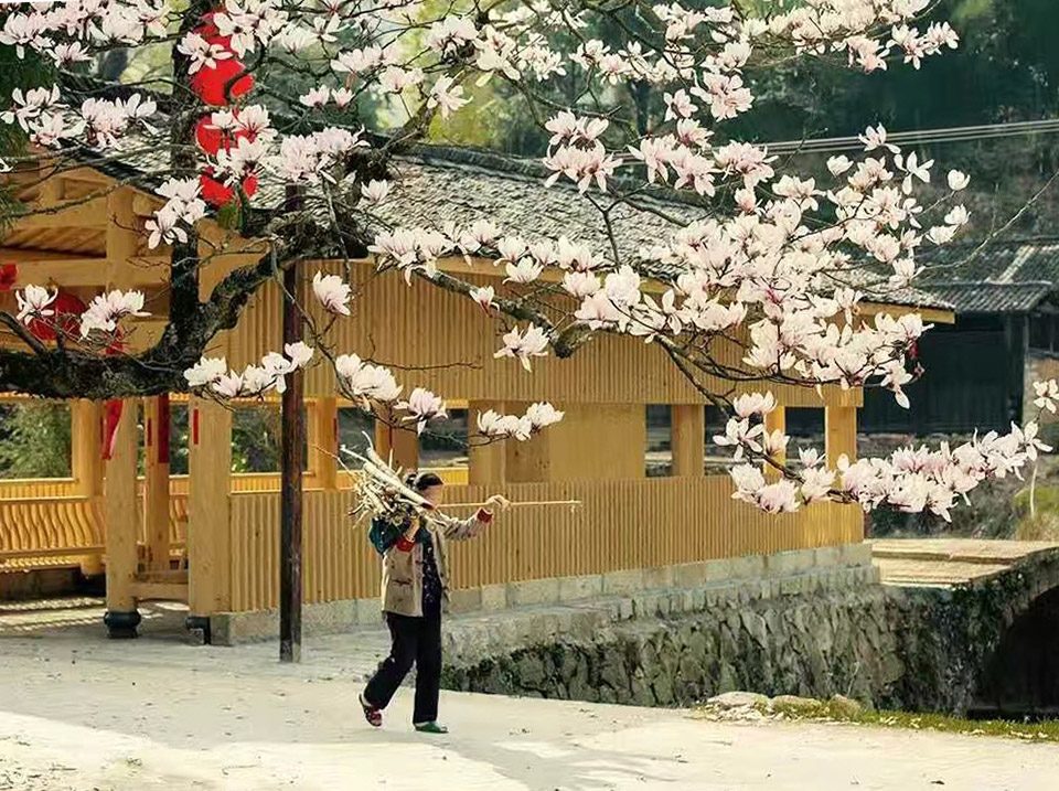 Shangping Village Regeneration Shuikou Area By 3andwich Design