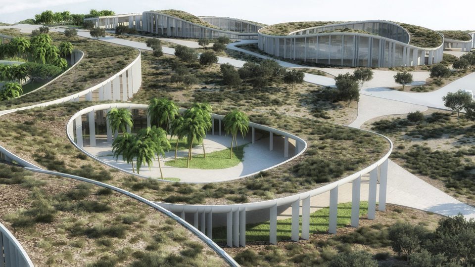 Tetras Oasis By ENOTA
