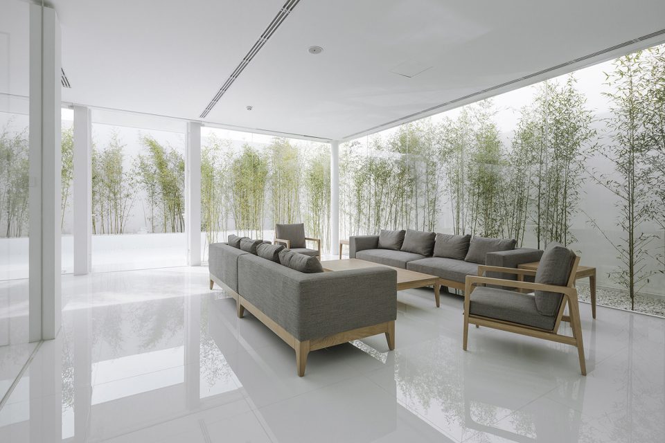 Bamboo Forest on the Roof By V STUDIO