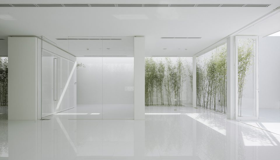 Bamboo Forest on the Roof By V STUDIO