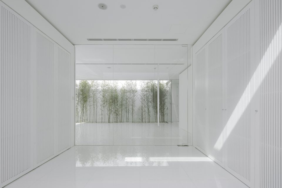 Bamboo Forest on the Roof By V STUDIO