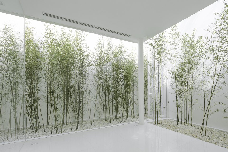 Bamboo Forest on the Roof By V STUDIO