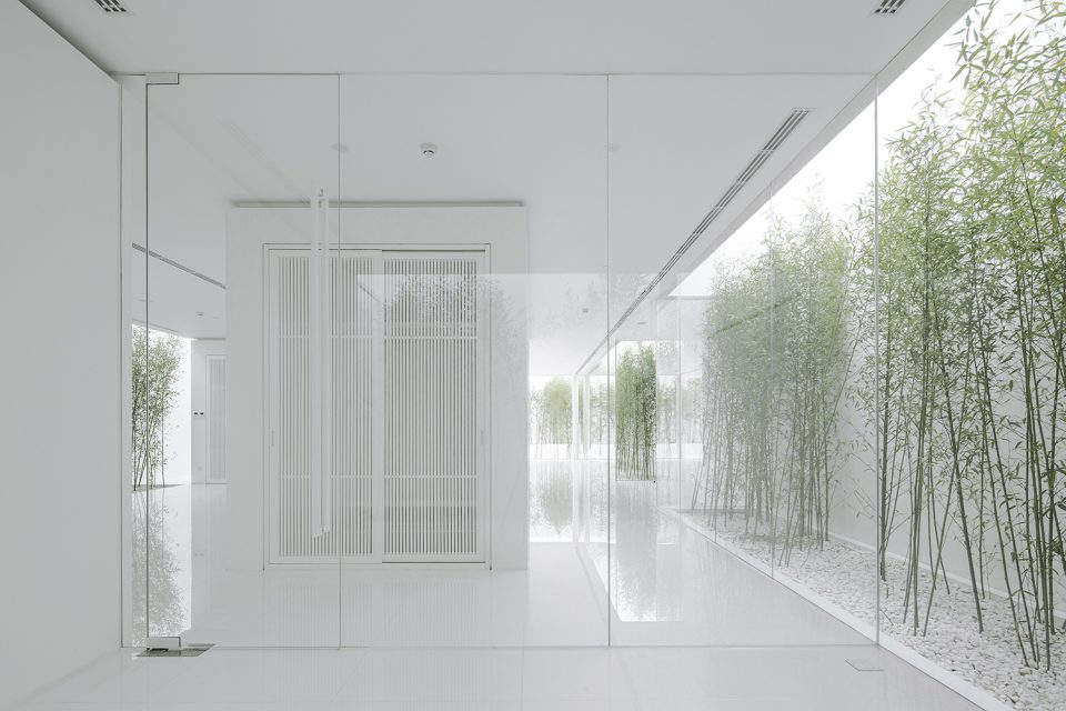 Bamboo Forest on the Roof By V STUDIO
