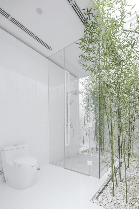 Bamboo Forest on the Roof By V STUDIO