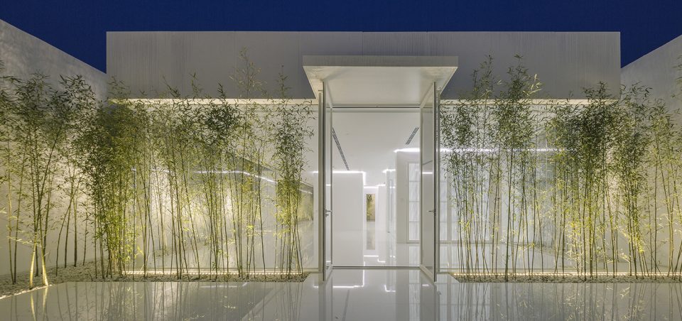 Bamboo Forest on the Roof By V STUDIO