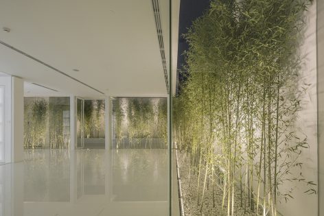 Bamboo Forest on the Roof By V STUDIO