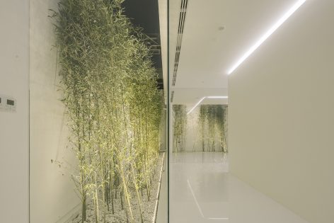 Bamboo Forest on the Roof By V STUDIO