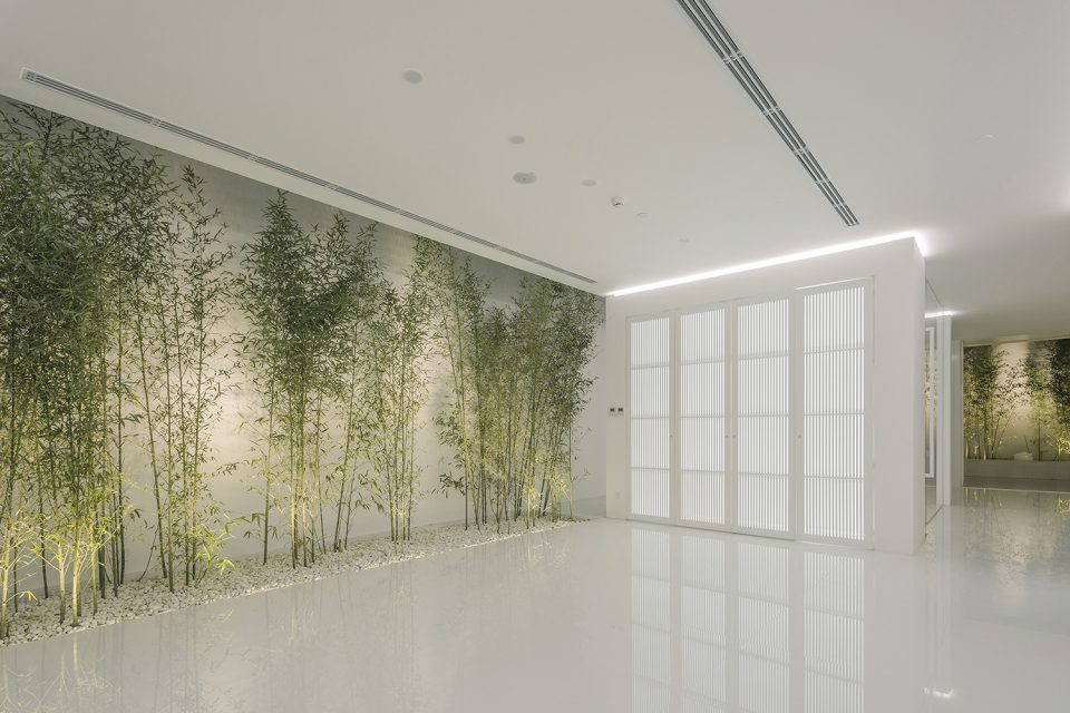 Bamboo Forest on the Roof By V STUDIO