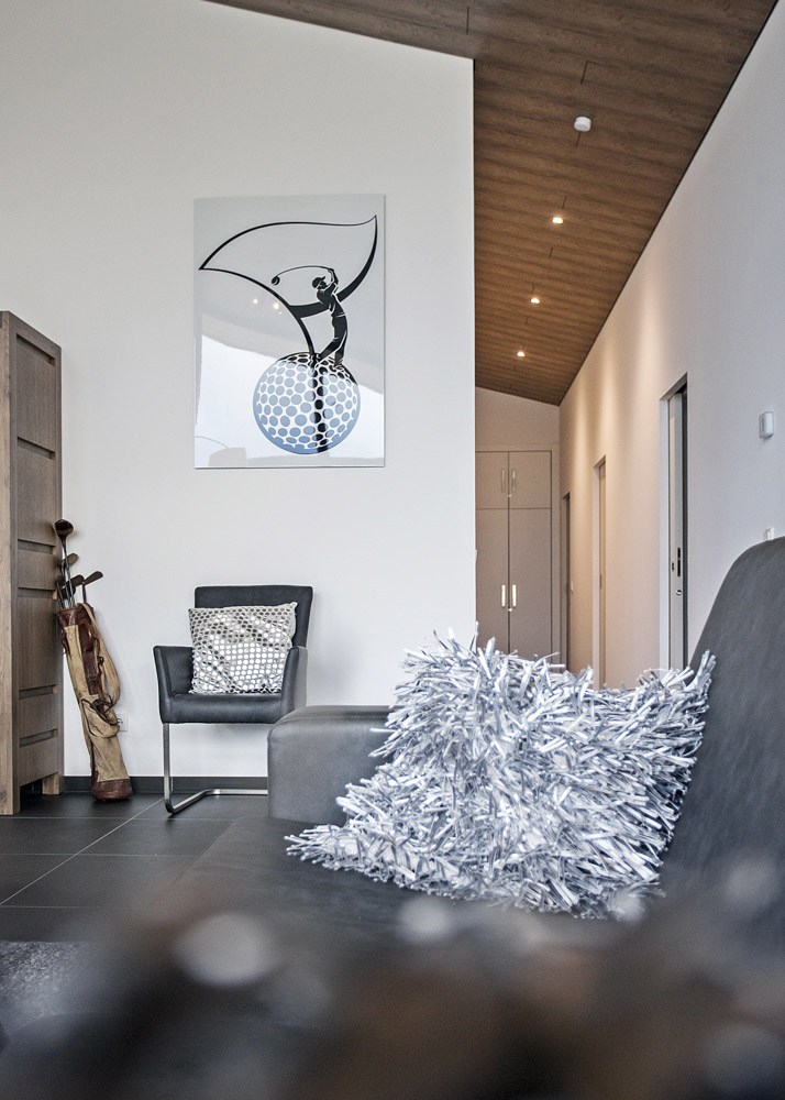 detail2 Villas Winterberg Third Skin Architecture
