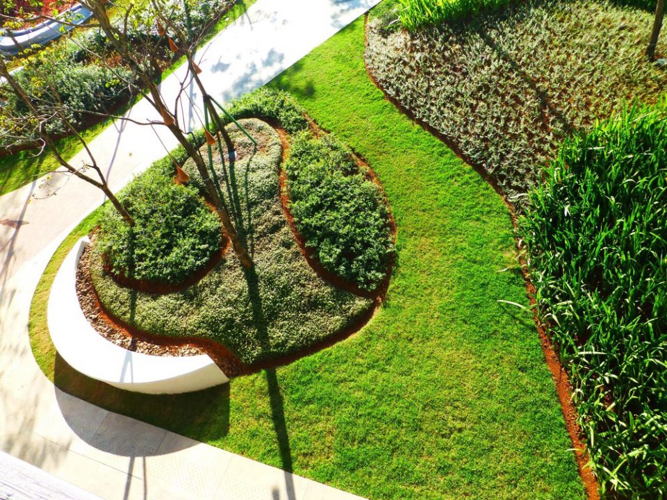 plants1 atlantica forest Balmori Associates