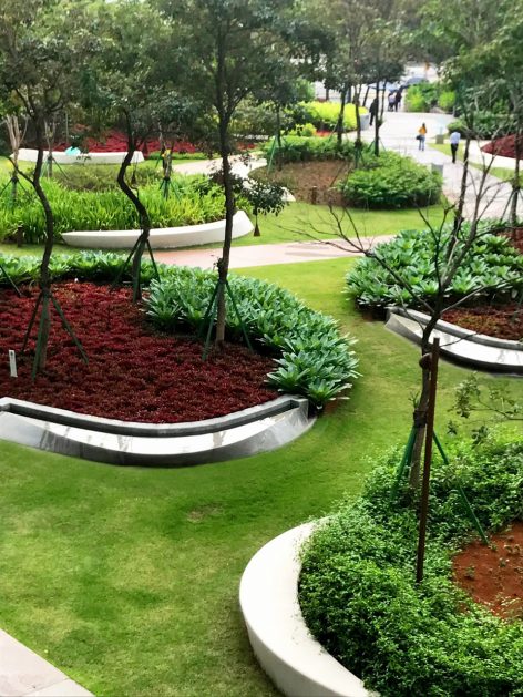 plants2 atlantica forest Balmori Associates