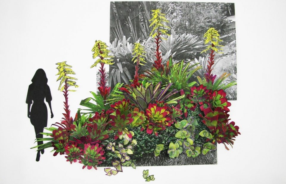 plant palatte atlantica forest Balmori Associates