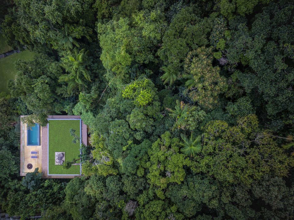 Jungle House by MK27
