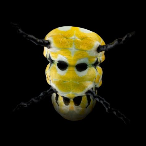 Mask Totem by Pascal GOET