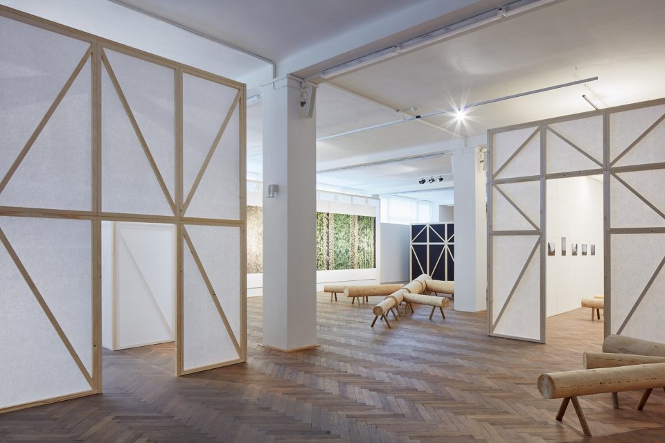 making of a forest exhibition design by mjolk architekti