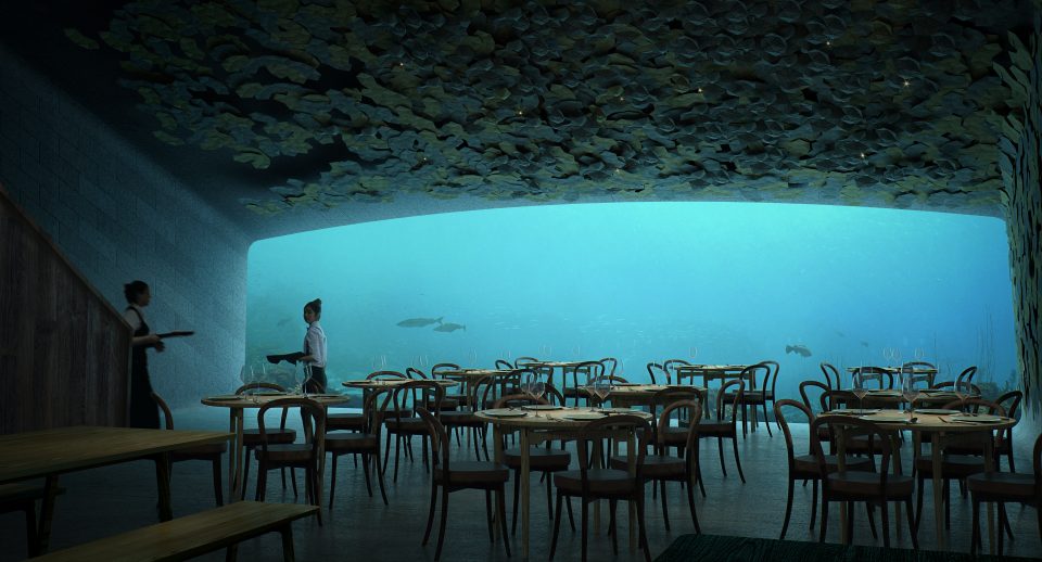 under restaurant in lindesnes norway by snohetta