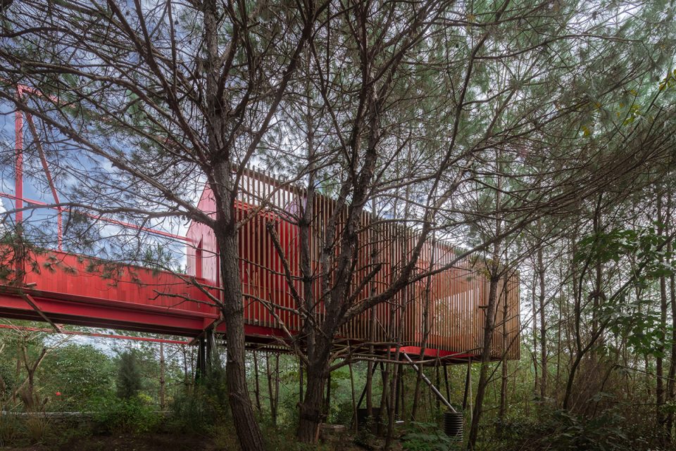 Longhouse among pine trees By Wuyang Architecture