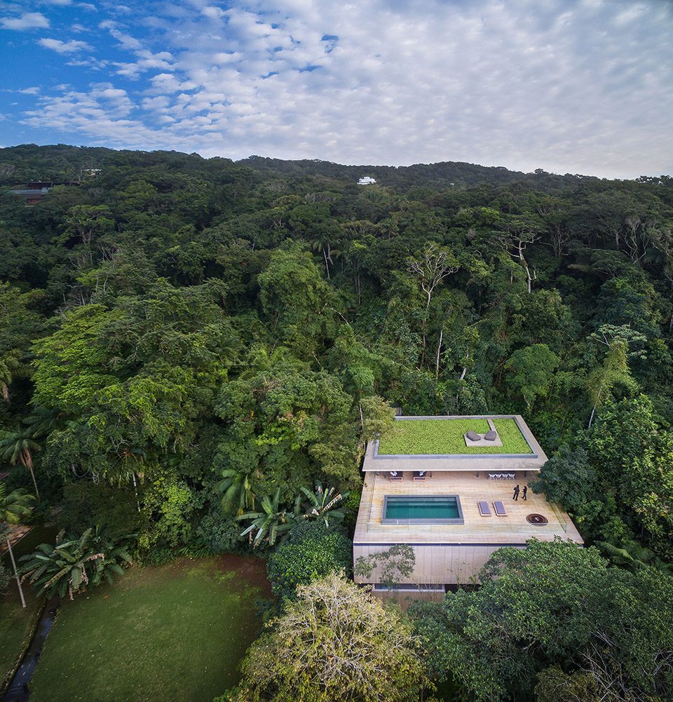 Jungle House by MK27