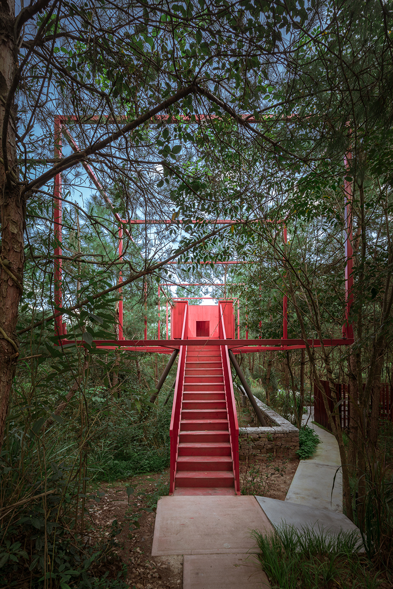 Longhouse among pine trees By Wuyang Architecture